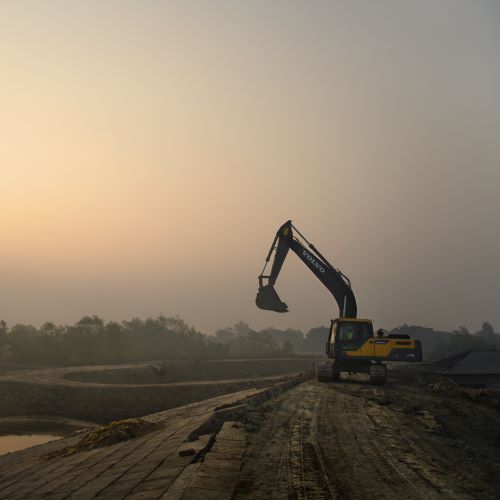 Megaprojects Sundarbans 2019 03, Topspot