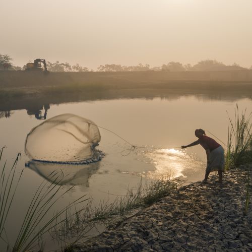 Megaprojects Sundarbans 2019 04, Topspot