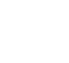 sany logo small - white