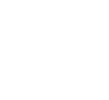 SDLG white logo